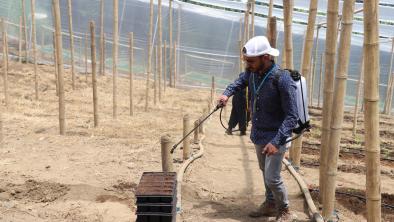 noticias_entregagranja