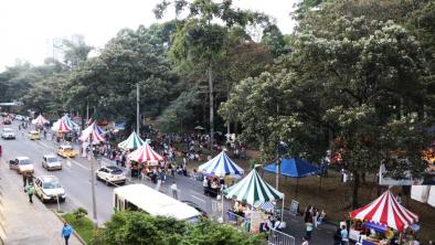 noticias_ferialocalprimavera