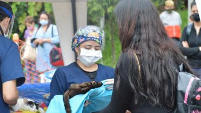 noticias_esterilizacion