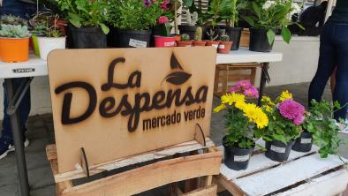 noticias_despensa