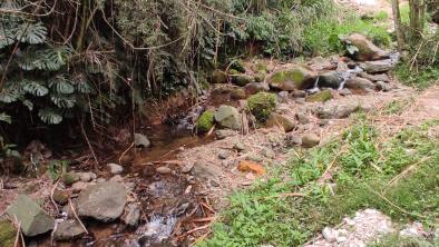 noticias_quebradalaospina