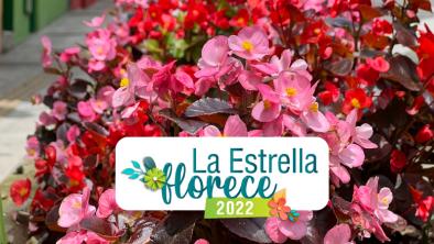 noticias_florecelaestrella