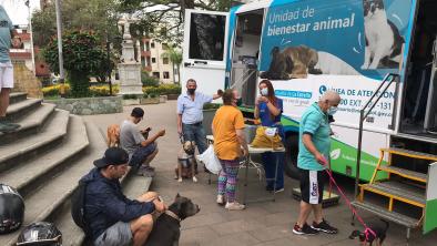 noticias_bienestaranim