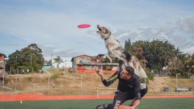 noticias_peludosalparque