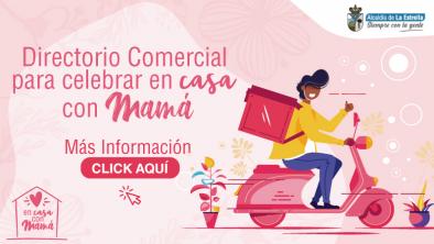 noticias_directoriomadres