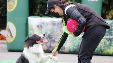 noticias_peludosparque