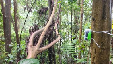 noticias_paisajessonoros