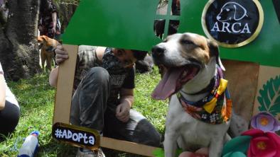 noticias_restauracionalbergue