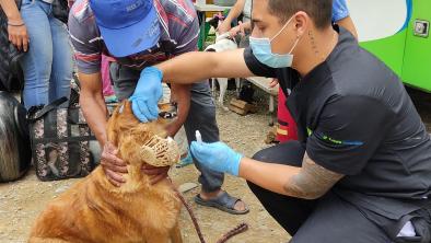 noticias_caninosyfeli