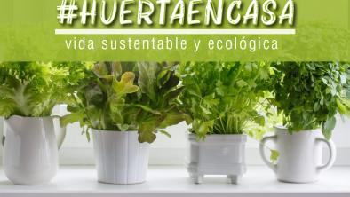 noticias_diadelatierra
