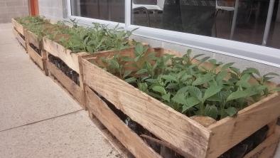 noticias_serviciosambientales