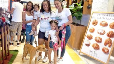 noticias_adopcionpeludosarca