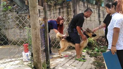 noticias_Como-seguimos-avanzando-en-bienestar-animal