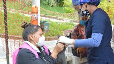 noticias_milesterilizaciones