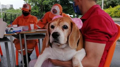 noticias_vacunaciondepartamental