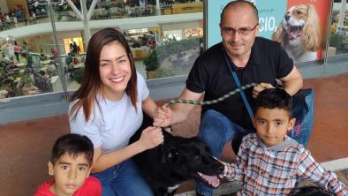 noticias_adopcionarca