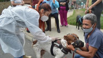 noticias_bienestaranimal