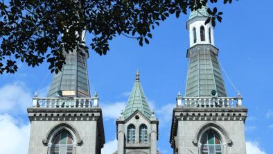 noticias_incineracion-de-un-canino