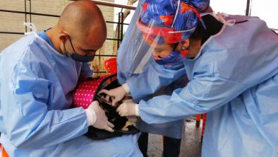 noticias_regresanjornadas